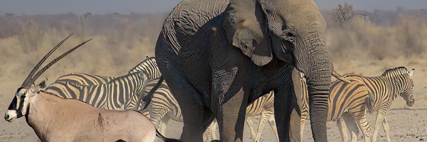 bryantkm1's profile banner image