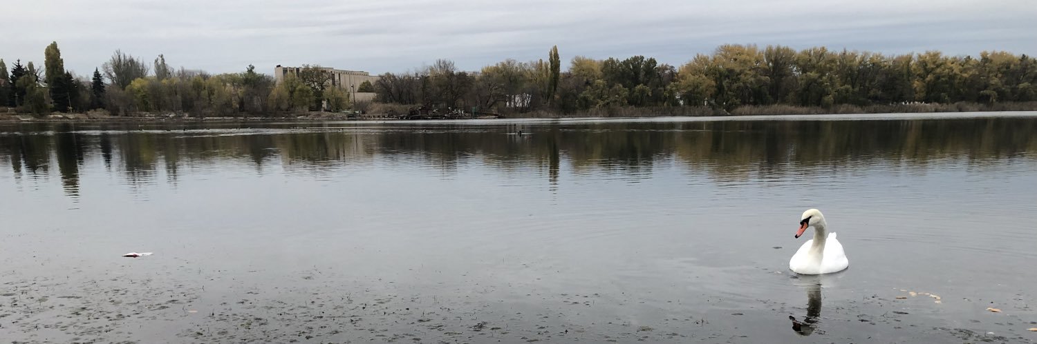 Igor Mitchnik banner