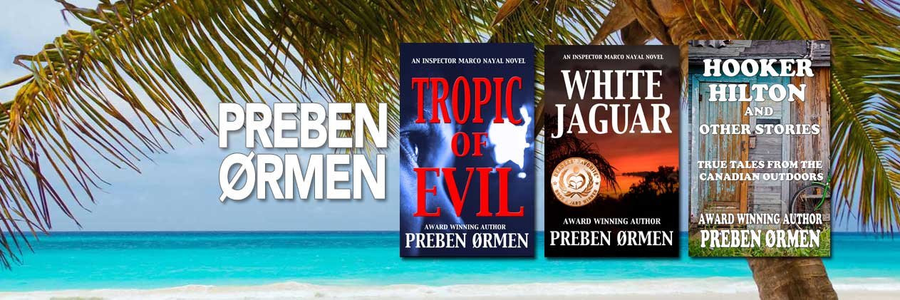 prebenormen's profile banner image