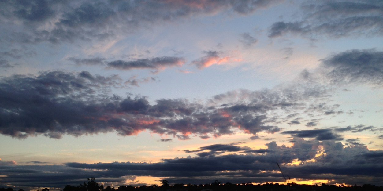 alice whitford banner