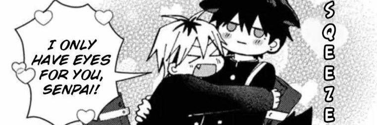 shiisakilover's profile banner image