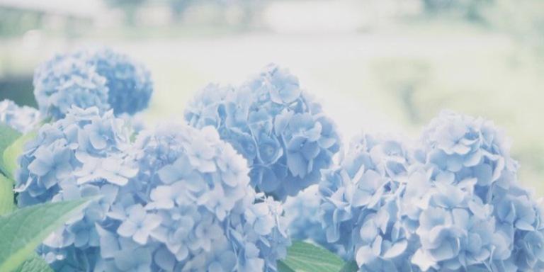daybyday. banner