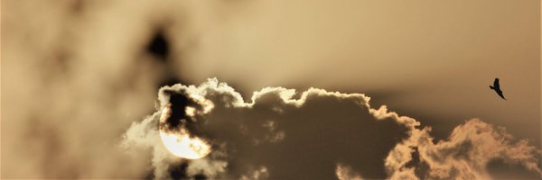 saurabhtankha Profile Banner