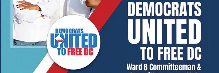 David Meadows- www.DemsFreeDC.com banner