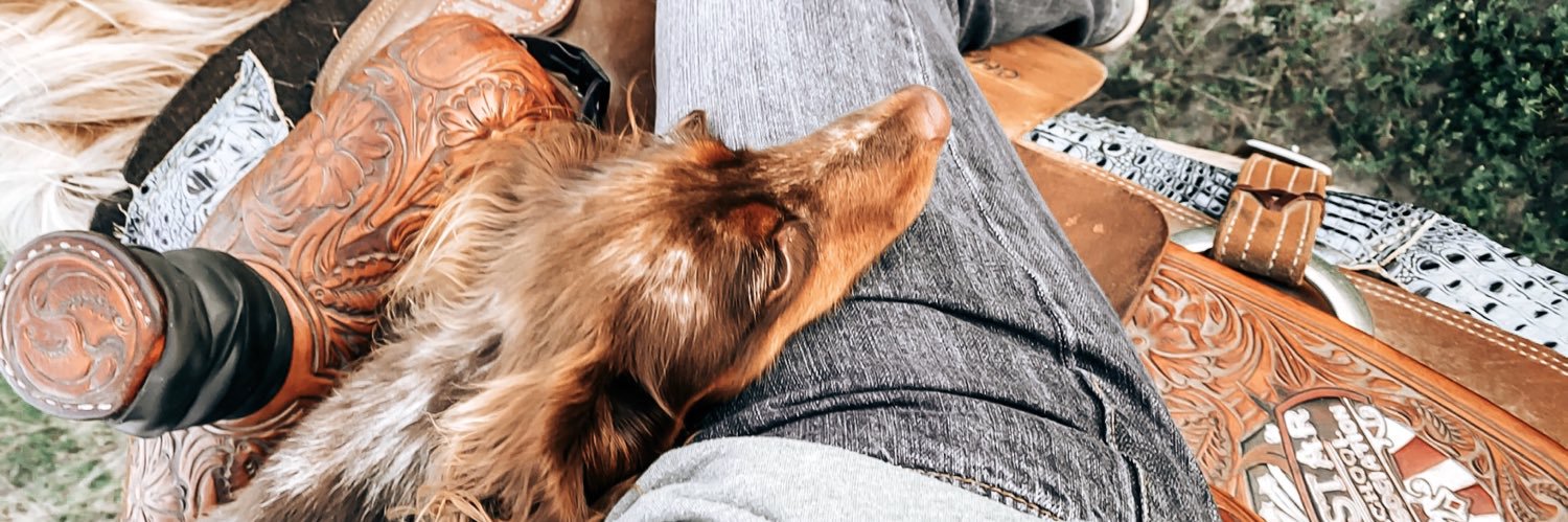 Clara_mae_'s profile banner image