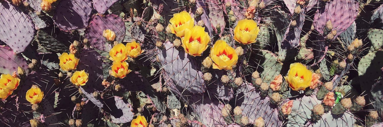 Adi Wiezel, Ph.D. (@awiezel.bsky.social) banner