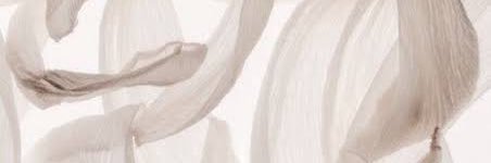 linnewho's profile banner image