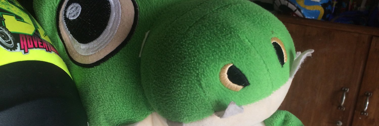 crocsodonk's profile banner image