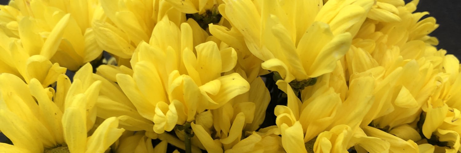 mxmyfield's profile banner image