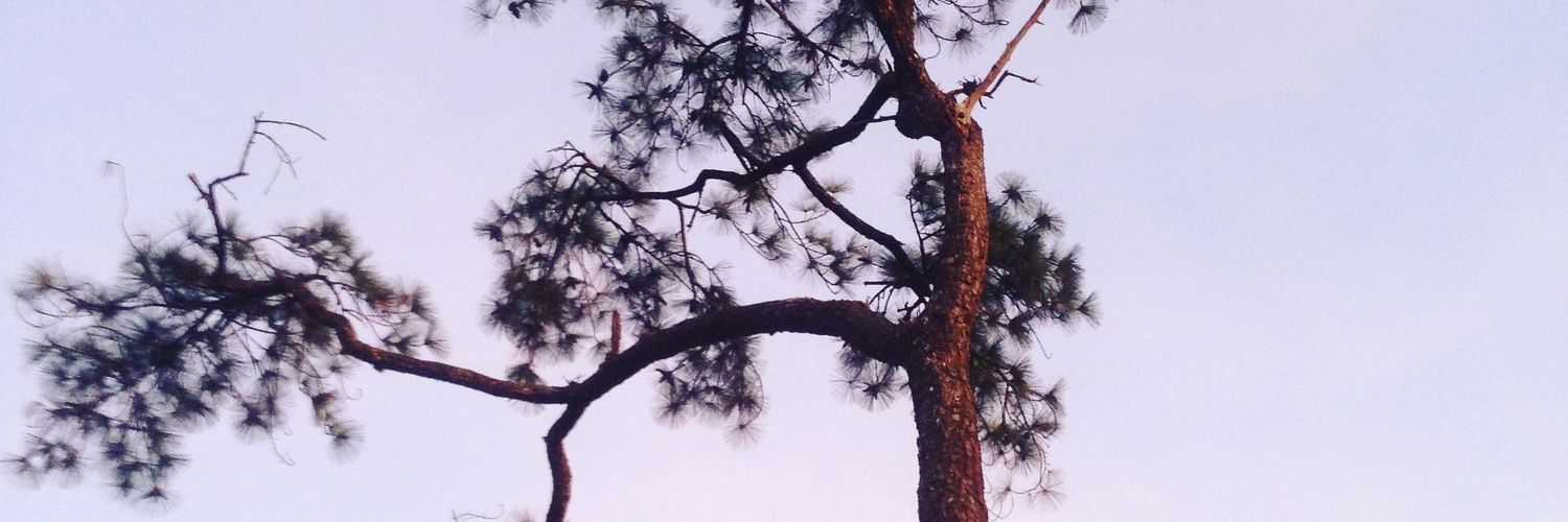 Piti_sil's profile banner image