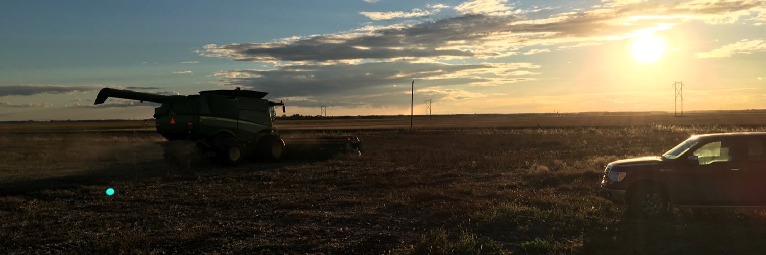 Michelle Jean Lepp banner