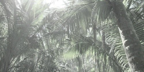 JersonRPGFC's profile banner image