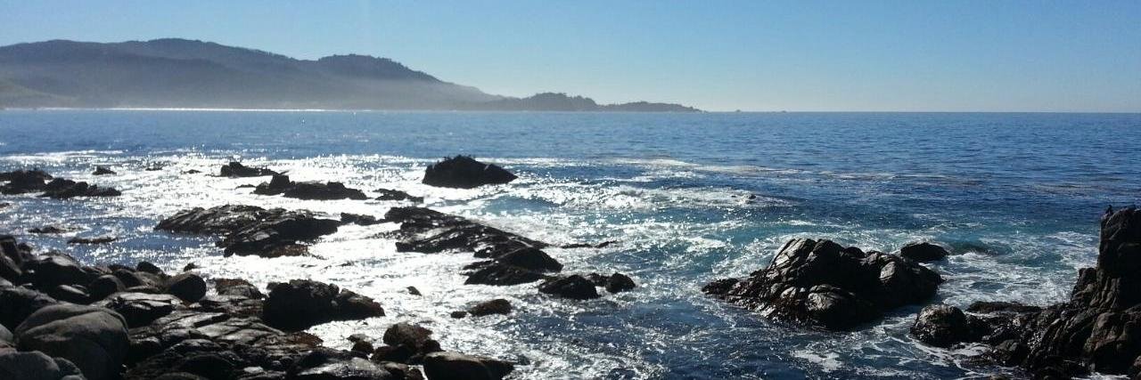 dorthy bright banner