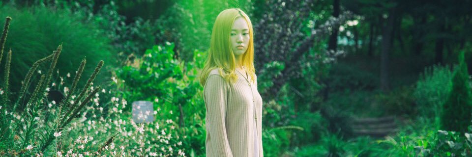 cahncho's profile banner image