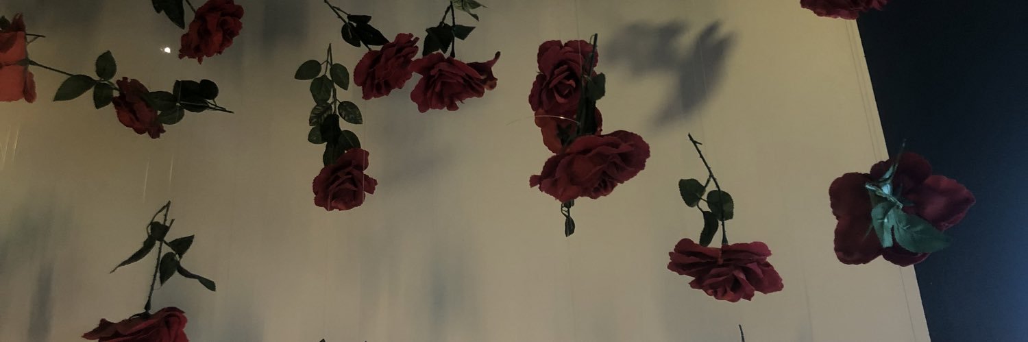 Stephanie_C9's profile banner image