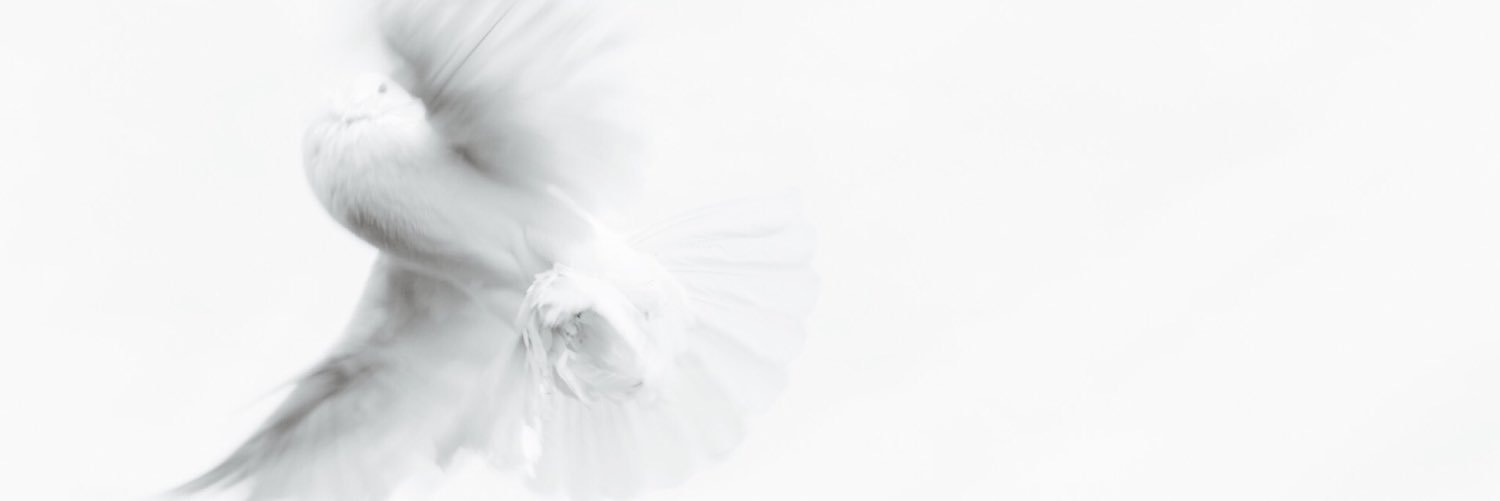 Our New Clear Future banner