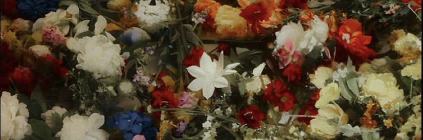 _wanderlust28's profile banner image