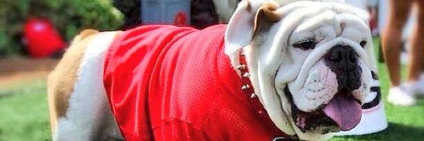 Bulldawgfan's profile banner image
