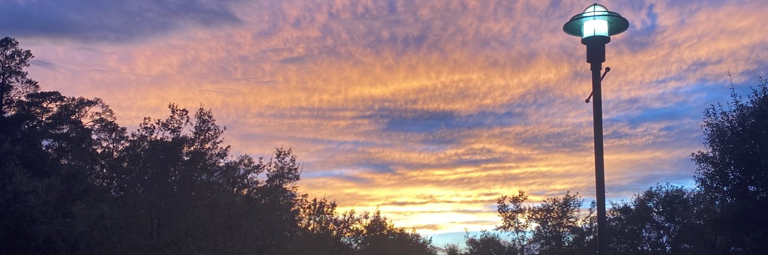 Jillian Wilde📸🌻🐮 banner