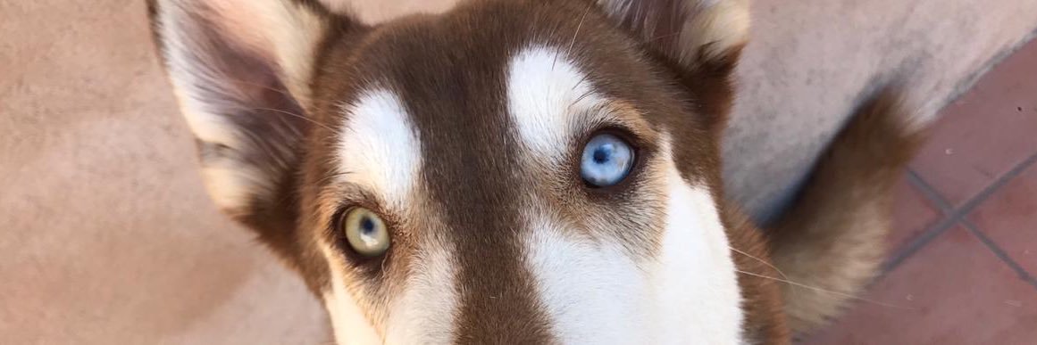 Verohlopez's profile banner image
