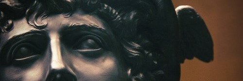Abby 🥝 banner