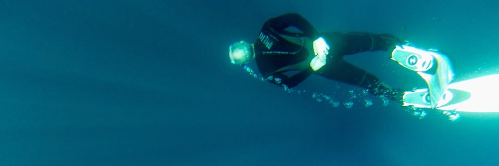 Steven Schindler banner