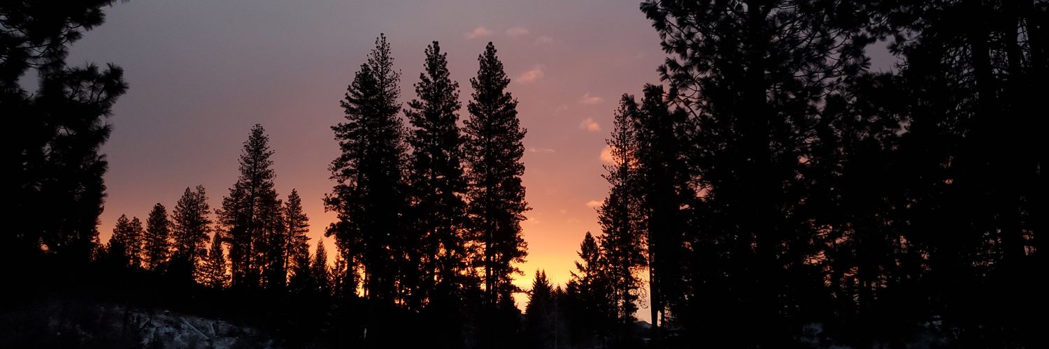 Breedlove15b's profile banner image