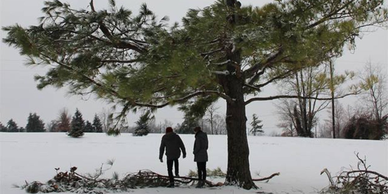 goodnaysayer's profile banner image