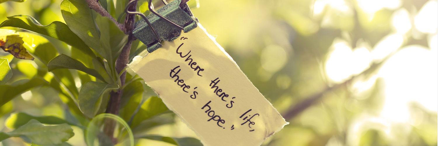 Marie Verhaar banner