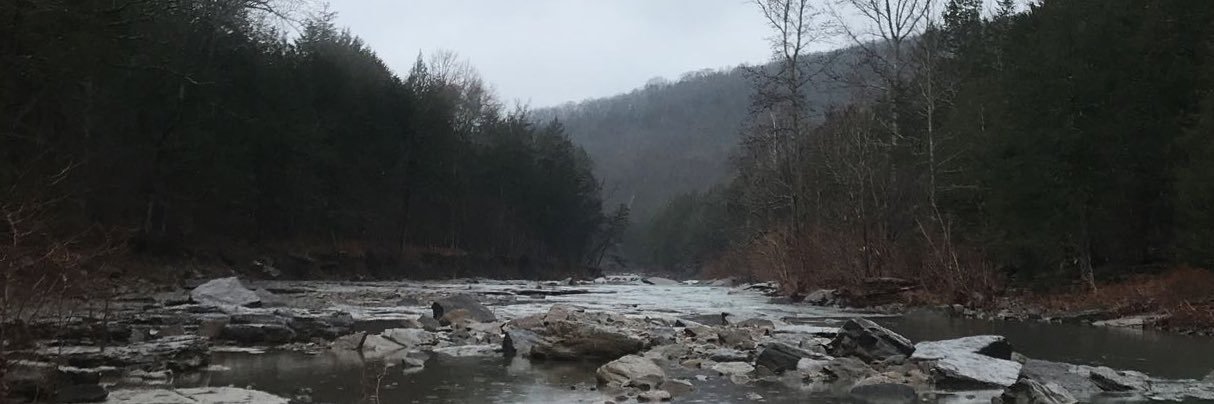 jacksonmcniell0's profile banner image