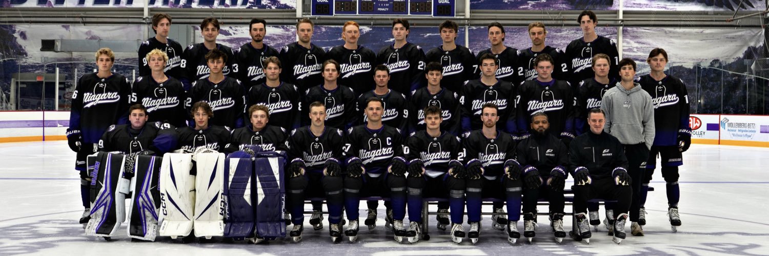 Niagara Hockey banner