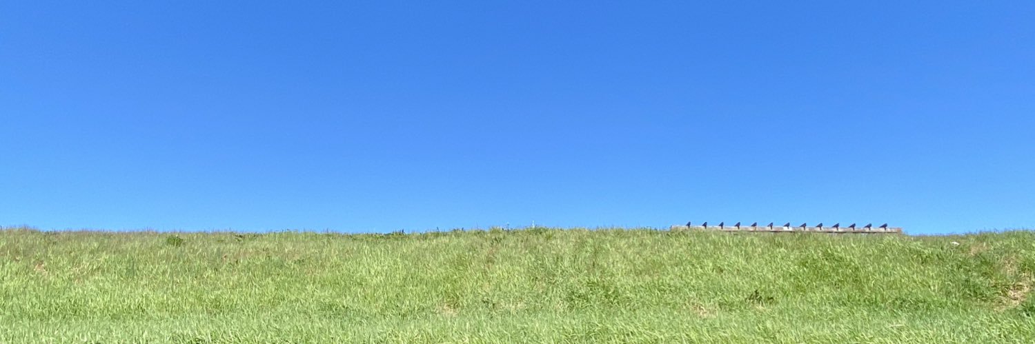 Valentina B banner