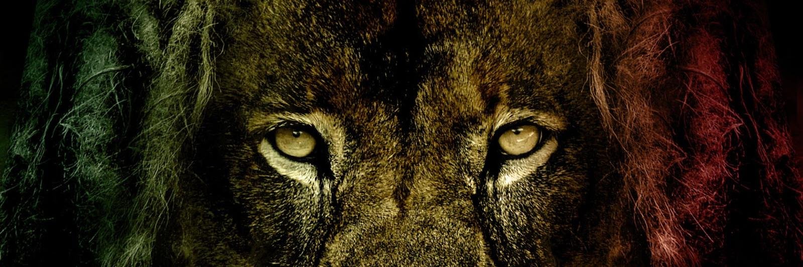 irieReggaeOffi's profile banner image