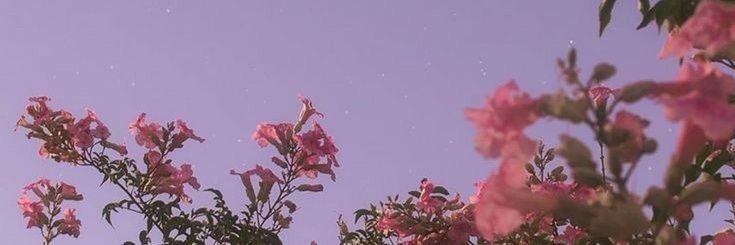 larianaFD's profile banner image