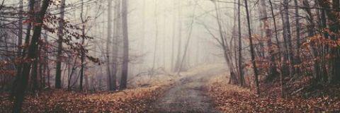 Fede_Chiello's profile banner image
