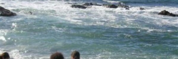 AngelaLloyd1 Profile Banner