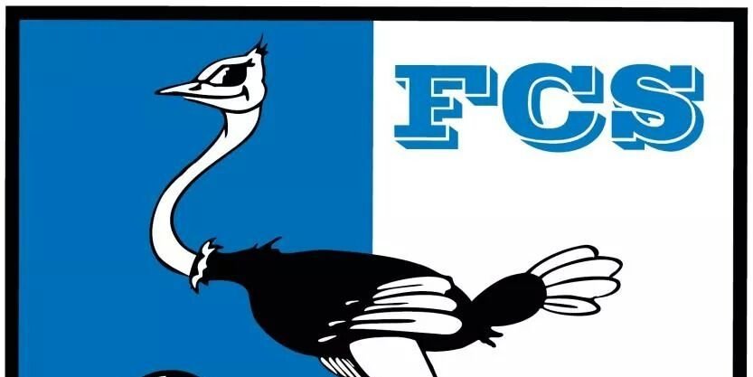 FC_Strausberg's profile banner image