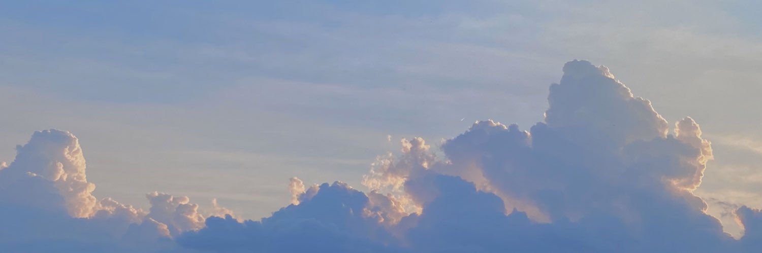 rylieeduster's profile banner image