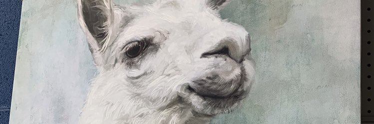 MiddyMatthews's profile banner image