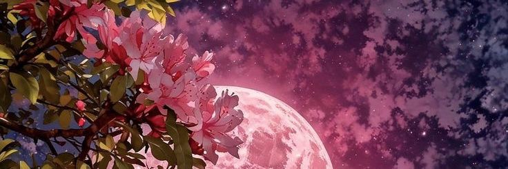 WitchesPie's profile banner image