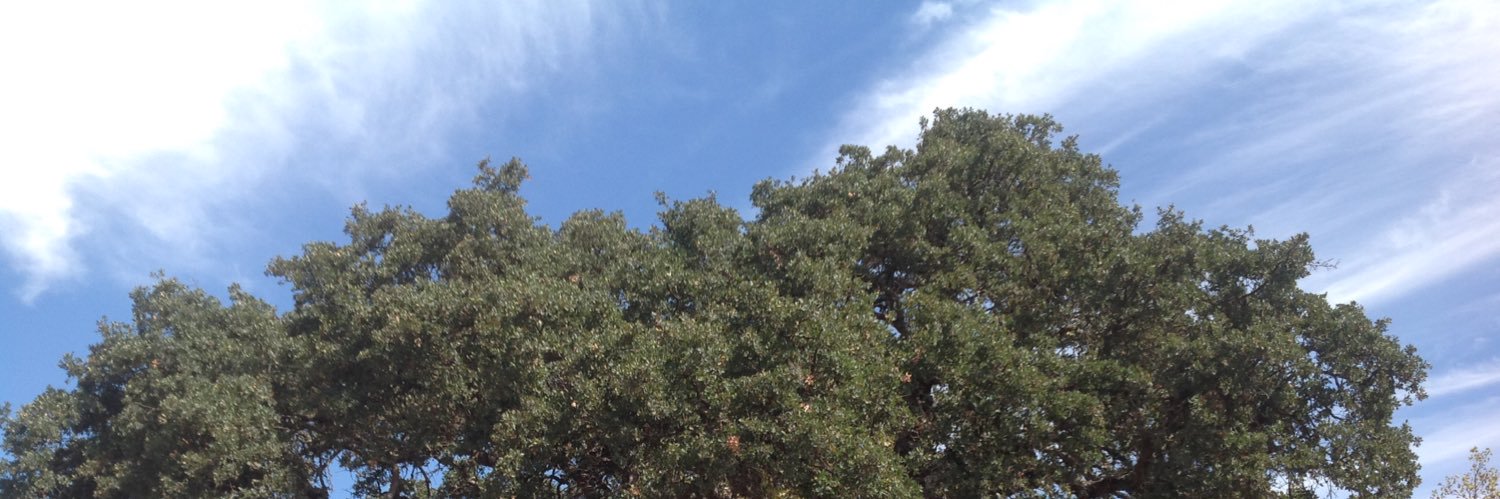 KathyRealtor1's profile banner image