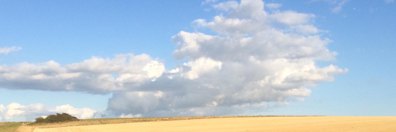 annabelbee's profile banner image