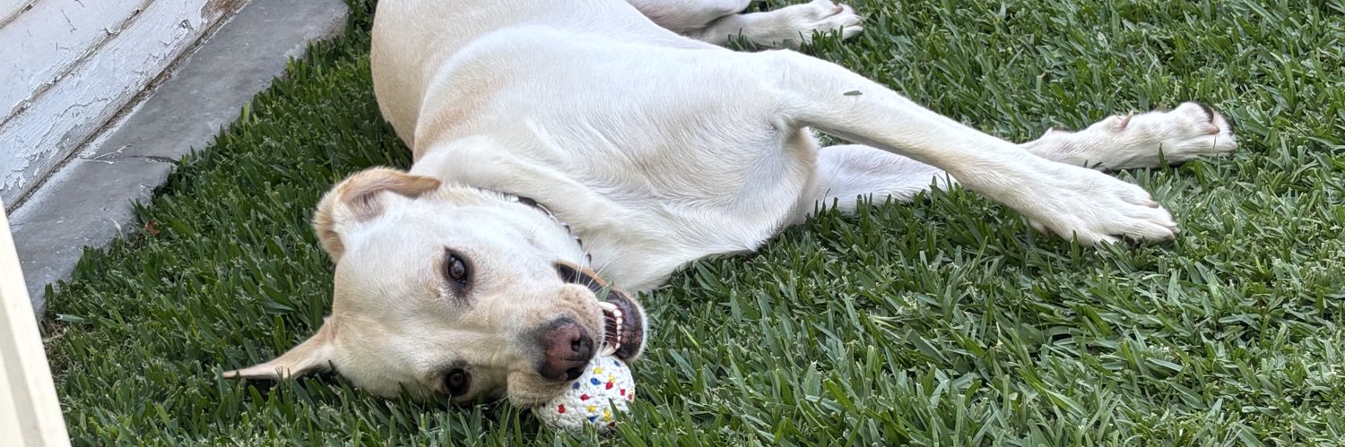 Linda & Teddy🐾🐾 banner