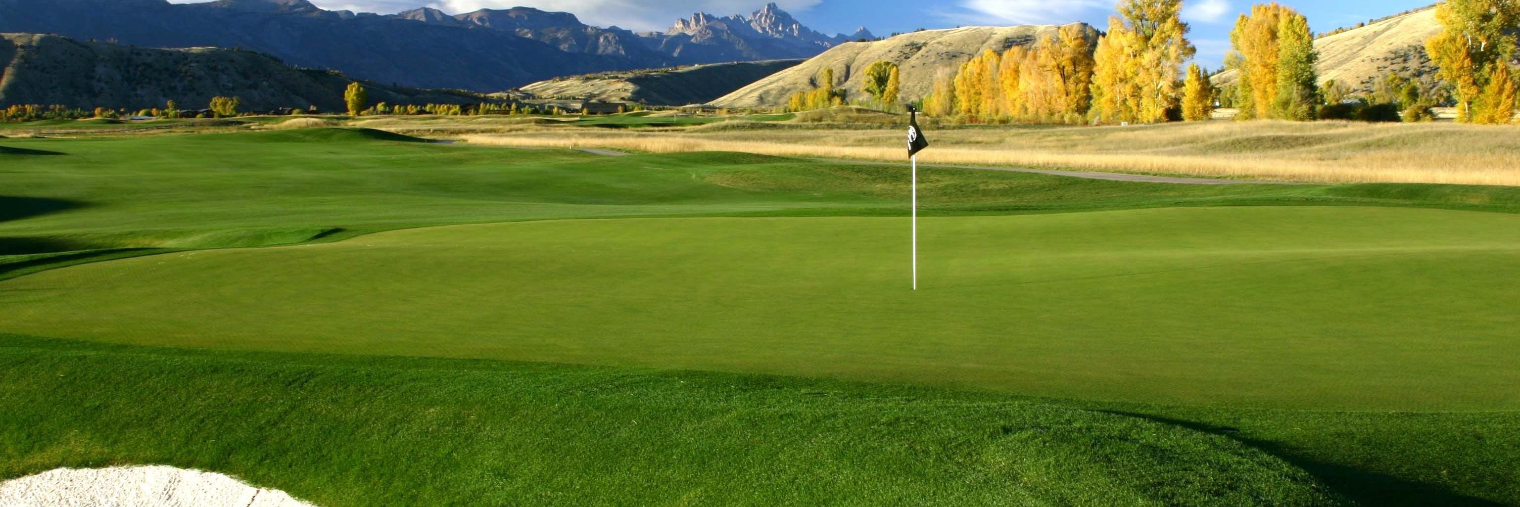 Back9GolfDeals's profile banner image