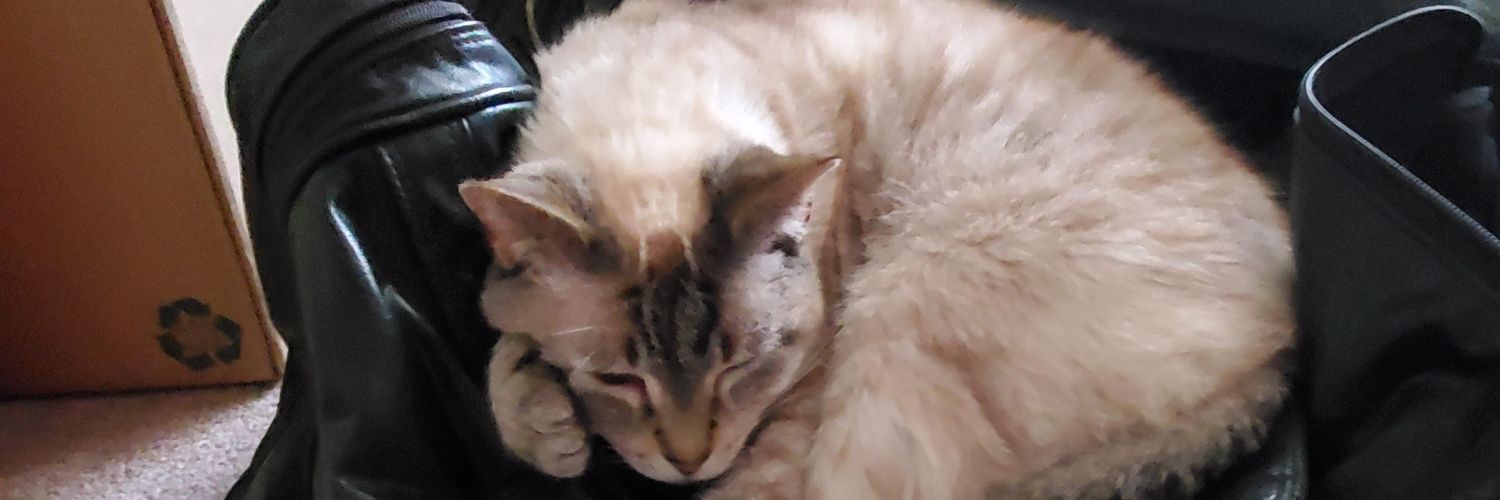 Ridiculously Average banner