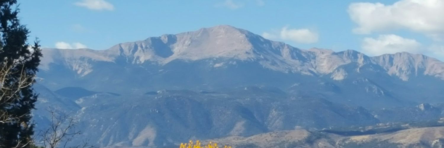 tfotenos's profile banner image