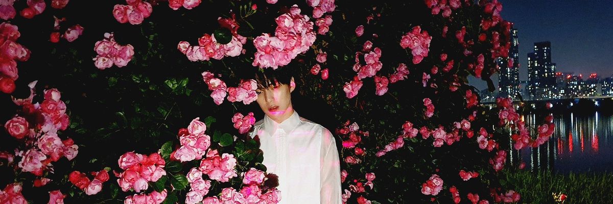 voxl58's profile banner image