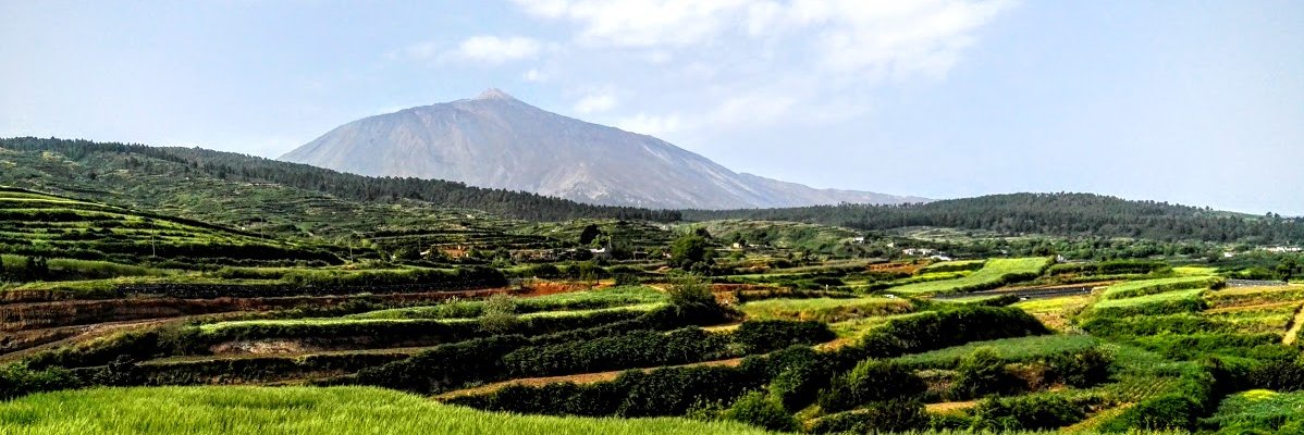 Jose Alexis Hdez banner