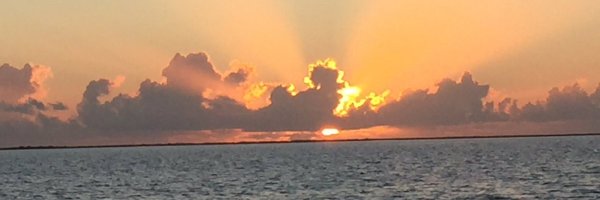 briantwoods1 Profile Banner