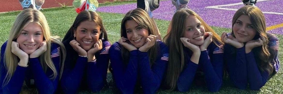 SFDGirlsVB's profile banner image